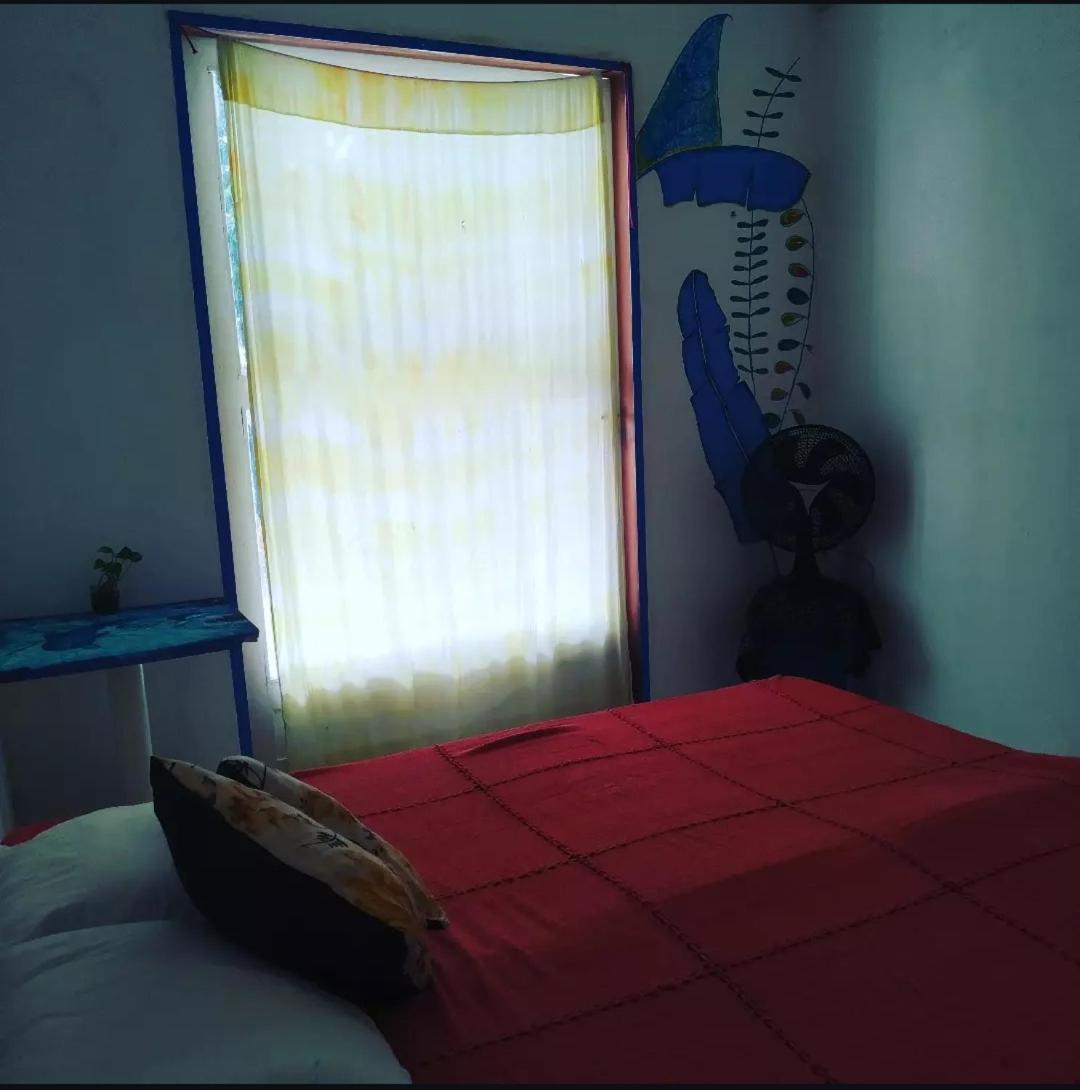 Casinha Blue Pipa Hostel *